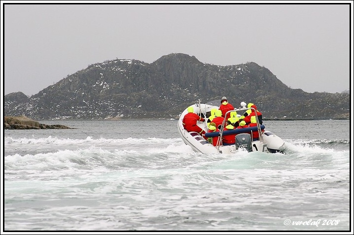  firmatur 2008