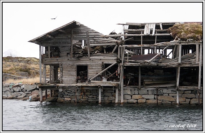  firmatur 2008