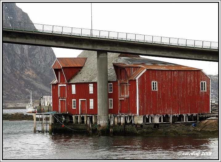  firmatur 2008
